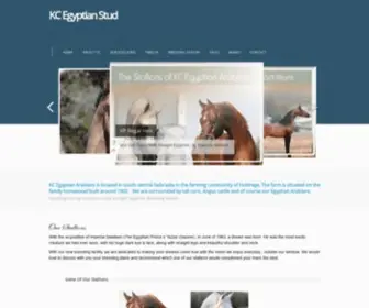 Kcegyptianarabians.com(KC Egyptian Stud) Screenshot