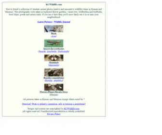 Kcwildlife.com(Kansas City) Screenshot