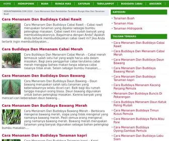 Kebuntanaman.com(Kebun Tanaman) Screenshot