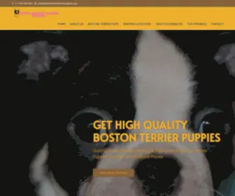 Keithsbostonterrierpuppies.com(Boston terrier puppies) Screenshot