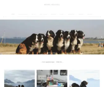 Kennel-Nellyvill.com(Oppdrett av Berner Sennen) Screenshot