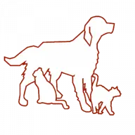 Kennels.fr Favicon