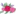 Kennysflowershoppe.com Favicon