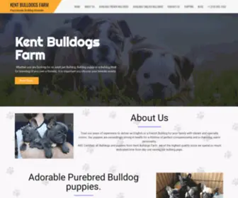 Kentbulldogsfarm.com(Passionate Bulldog Breeder) Screenshot