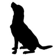 Kentnerburn.com Favicon