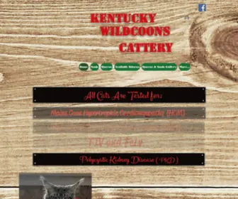 Kentuckywildcoonscattery.com(Kentucky Wildcoon Cattery) Screenshot