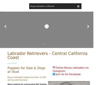 Kenyalabradors.com(Labradors California English Lab Puppies Breeder) Screenshot