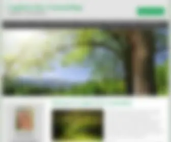 Kerafrederickcounseling.com(Capital City Counseling) Screenshot