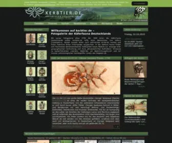 Kerbtier.de(Käfer (Coleoptera)) Screenshot