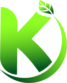 Kersys.com.br Favicon