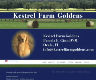 KestrelfarmGoldens.com(Golden Retriever Breeder) Screenshot