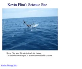 Kevinflint.org(Kevinflint) Screenshot