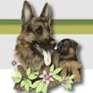 Keystonegermanshepherds.com Favicon