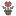 Khotangcadao.com Favicon