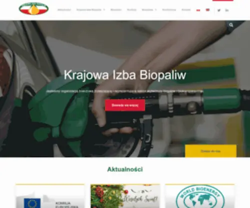 Kib.pl(Strona główna) Screenshot