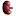 Kidneyandlife.com Favicon