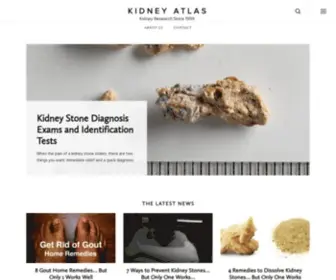 Kidneyatlas.org(Kidney Atlas) Screenshot
