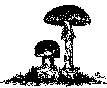 Kieler-PilzFreunde.de Favicon