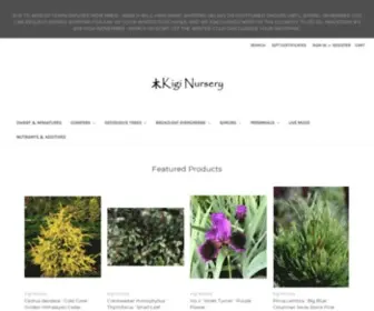 Kiginursery.com(Dwarf Conifers for sale at Kigi Nursery) Screenshot