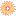 Kimsatrangchu.com Favicon