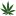 Kindgreenseeds.com Favicon