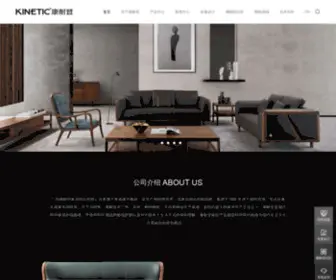Kinetic.com.cn(康耐登网) Screenshot