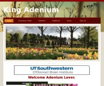 Kingadenium.net(KING ADENIUM) Screenshot