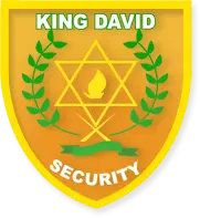 Kingdavidsecurity.com Favicon