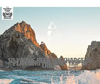 Kingfishcabo.com(Charter Types) Screenshot