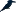 Kingfishercp.com Favicon