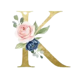 Kinggrab.com Favicon