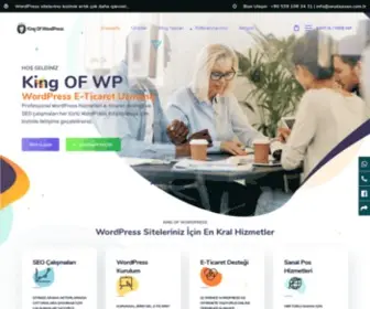 Kingofwp.com(Giriş ‹ King Of WP) Screenshot