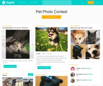 Kingpet.co.uk(Contests) Screenshot