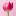 Kininarutips.com Favicon