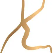 Kintsugi-Wellness.com Favicon