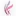 Kinuta-Kaki.co.jp Favicon