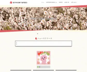 Kishu-Tanabe-Umeboshikumiai.com(梅加工) Screenshot