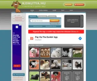 Kiskutya.hu(Eladó kutyák) Screenshot