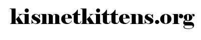 Kismetkittens.org Logo