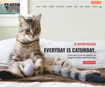 Kittenrescue.org(Kitten Rescue) Screenshot