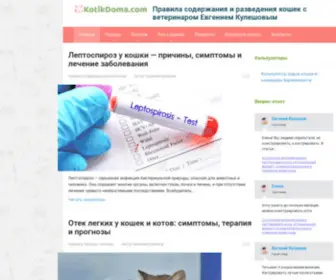 Kittens-World.ru(кошка) Screenshot