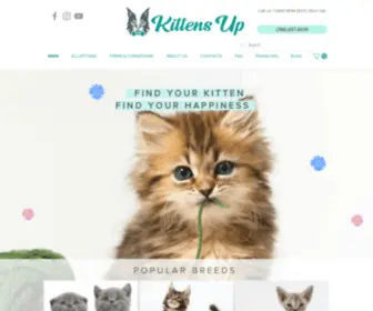 Kittensup4Sale.com(Kittens for sale) Screenshot
