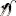 Kittykouch.com Favicon