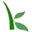 Kivalive.com Favicon