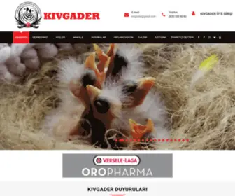 Kivgader.org(Kıvrık) Screenshot