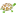 Kiyipansiyon.com Favicon