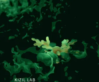 Kizillab.org(Kizil Lab) Screenshot