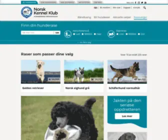 Kjopehund.no(Norsk Kennel Klub) Screenshot