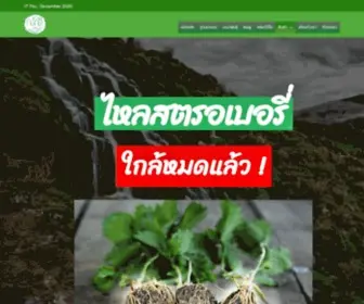 Kladee.com(ไหลสตรอเบอรี่ อมดอก ท้องแก่) Screenshot