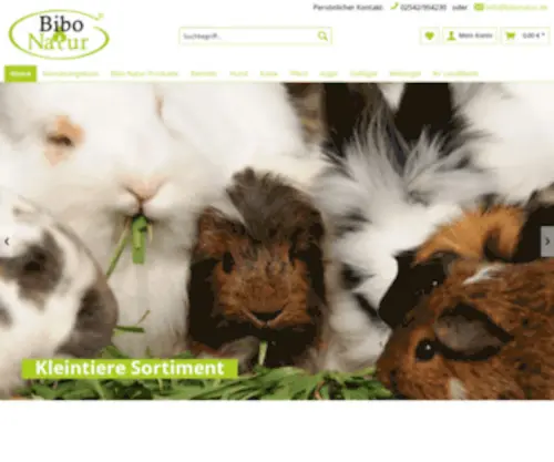 Klinofix.de(Klinofix Deutschland) Screenshot